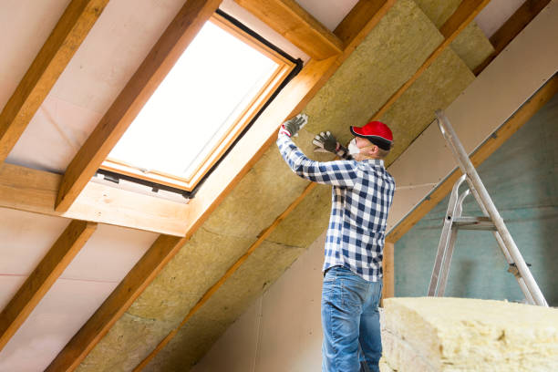 Types of Insulation We Offer in Abram, TX